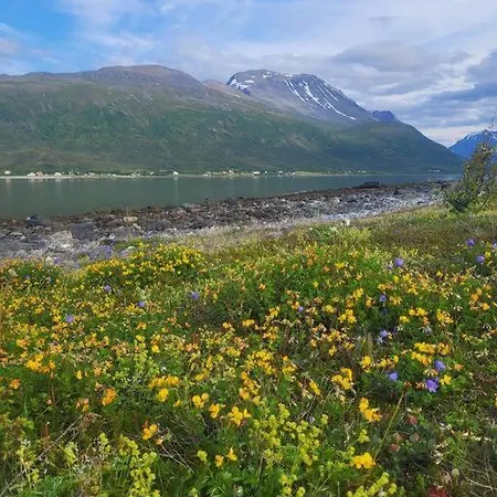 펜션 Idyllisk Hus Med Sauna Og Jacuzzi, Lyngen