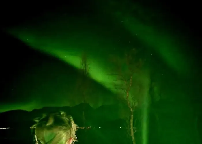 Idyllisk Hus Med Sauna Og Jacuzzi, Lyngen Nord-Lenangen