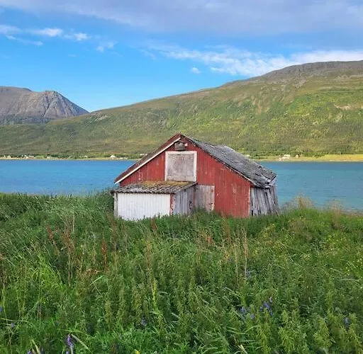 Idyllisk Hus Med Sauna Og Jacuzzi, Lyngen * Nord-Lenangen